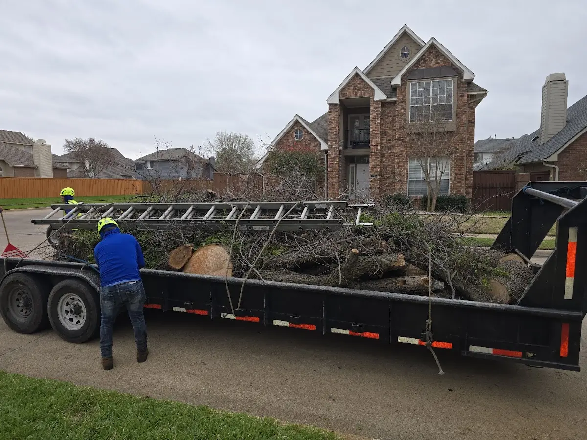 Expert Tree Fertilization with proper safety equipment in Wesson